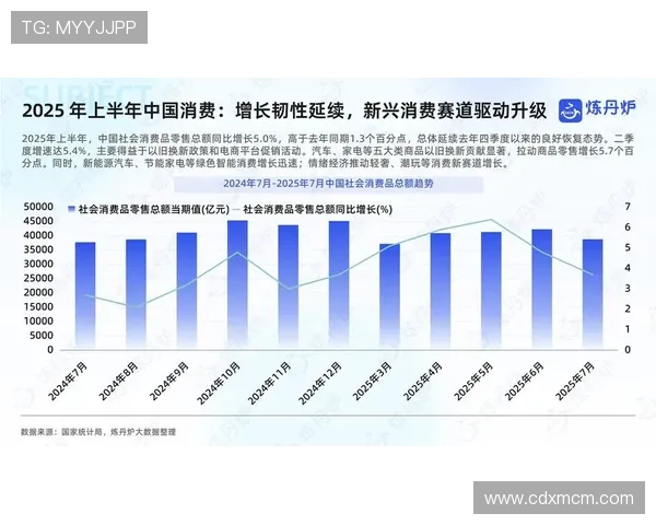 围绕鹈鹕队新赛季阵容变动深度解析与未来竞争力展望全面趋势观察
