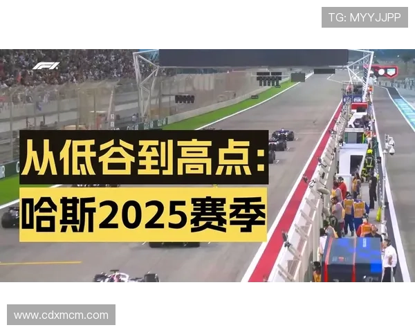 聚焦F1赛场最新动态深度揭示各大车队竞争新格局走向趋势变化态势